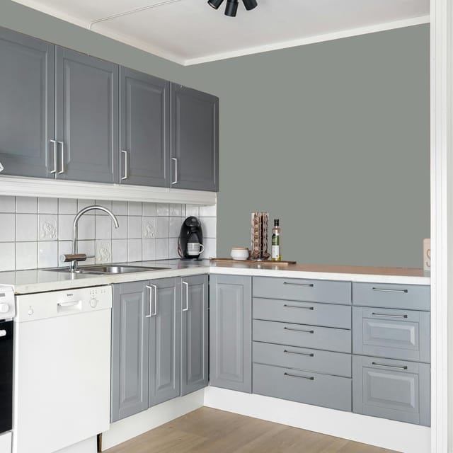 Shalimar XTRA TOUGH ANTI CARBONATION COATING EXTERIOR EMULSION  Grey