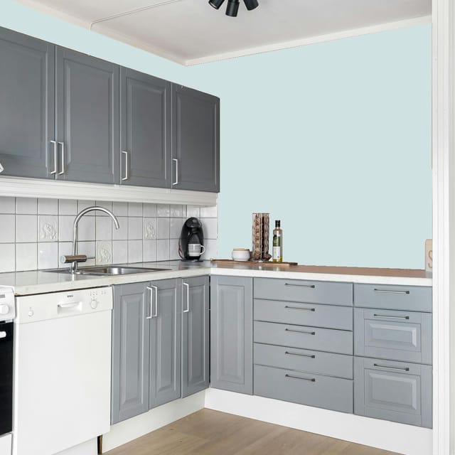 Shalimar XTRA TOUGH 100% PREMIUM ACRYLIC EMULSION EXTERIOR EMULSION Blue